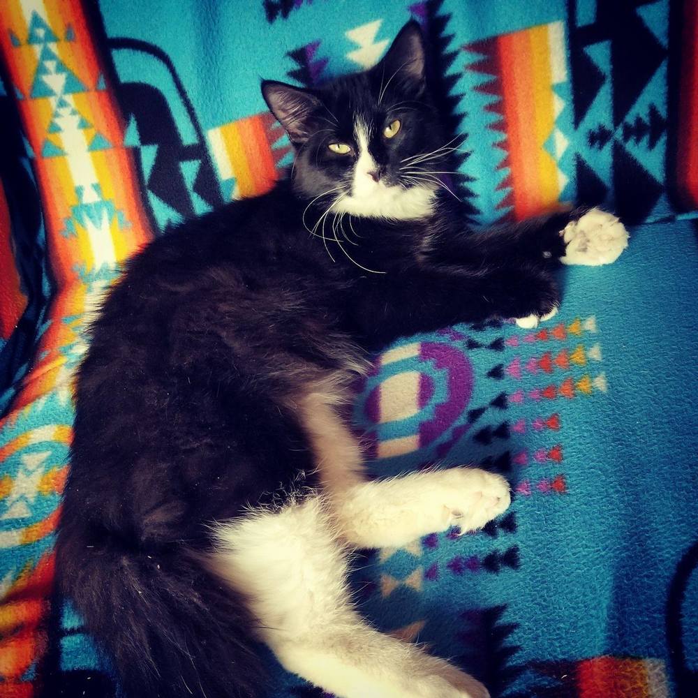 Meet your Posher, Jc